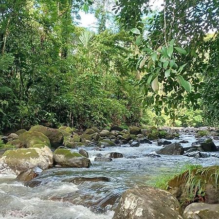 Villas Toecu - Casa Colibri La Fortuna Exteriör bild