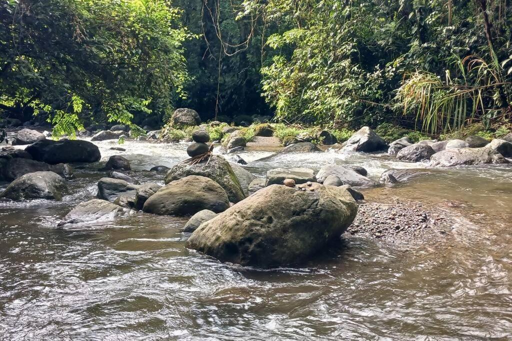 Villas Toecu - Casa Colibri La Fortuna Exteriör bild